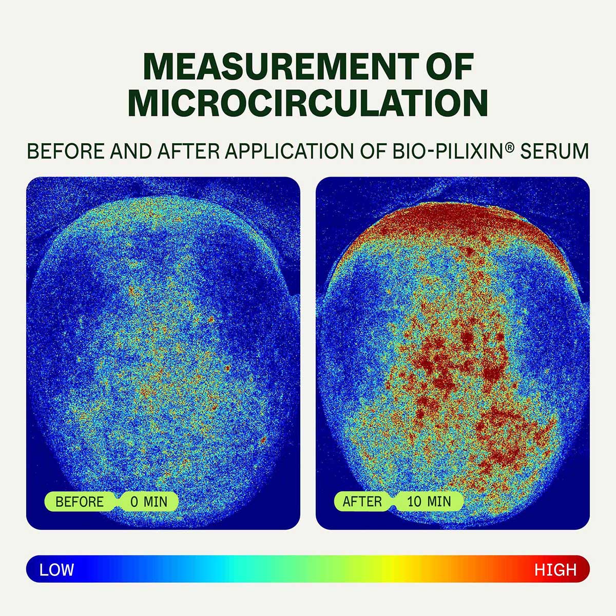 Hair Strength & Growth Bundle | For Women - Image 3