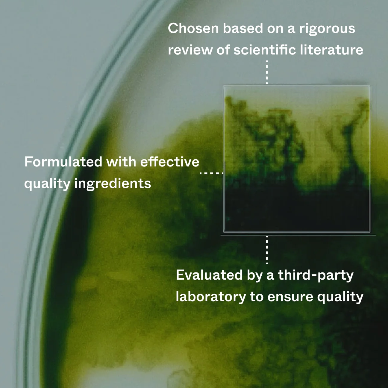 Bio-Pilixin Activation Serum | For Men - Image 5