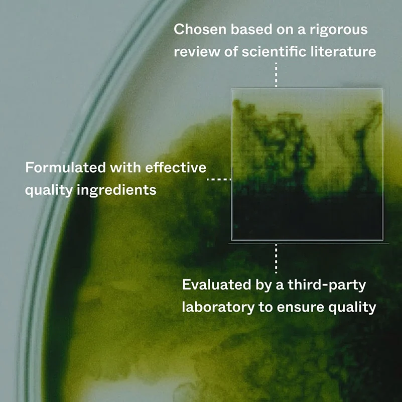 Hair Growth Routine | Travel Set - Image 5