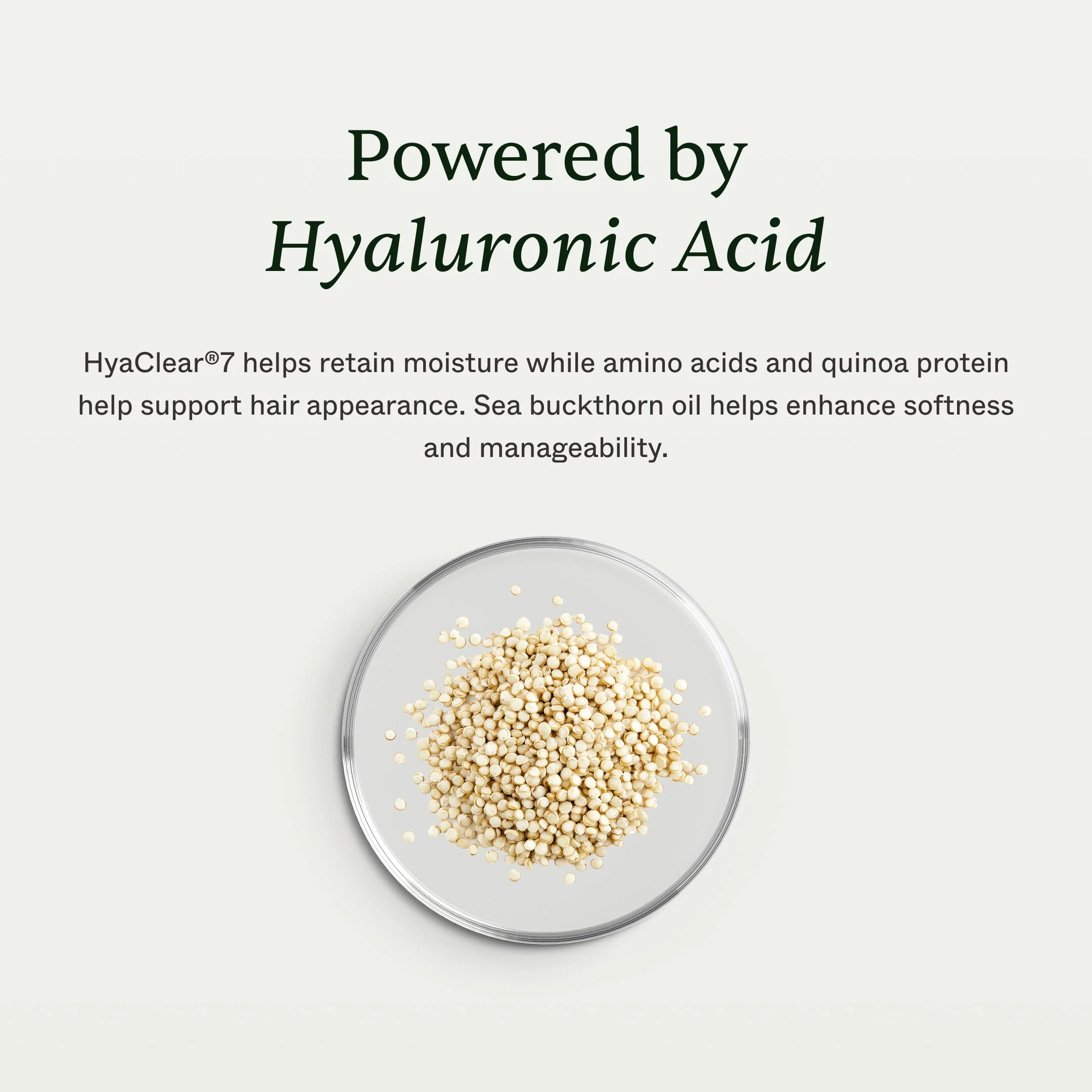 Hair Hydration Mask - Image 5