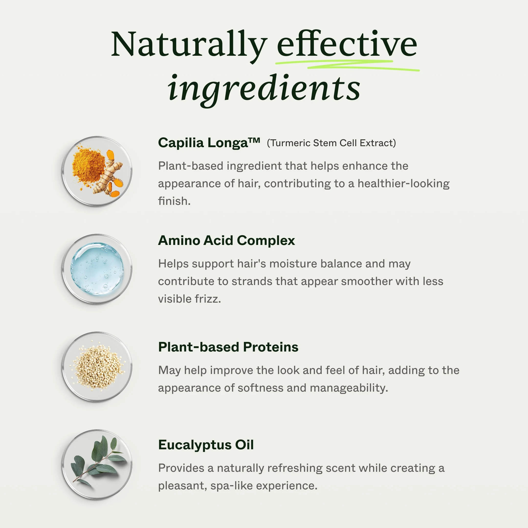 Hair Recovery Conditioner | For Women - Image 3